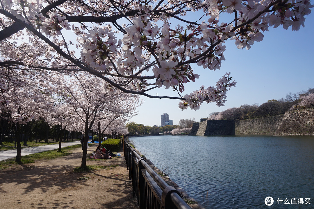 #剁主计划-广州#一个人的旅行：一个广东吃货的日本关西地区（大阪、京都、奈良）樱花季8日自由行（附关西地区行程规划路线和交通详细讲解攻略）