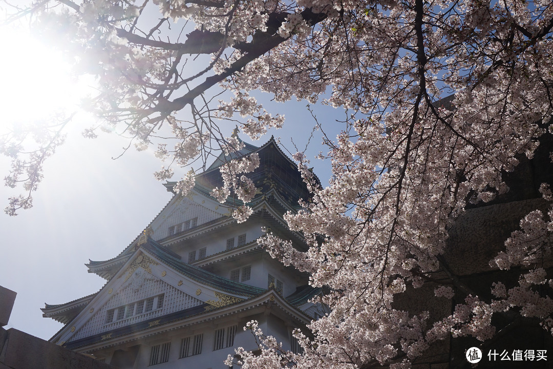 #剁主计划-广州#一个人的旅行：一个广东吃货的日本关西地区（大阪、京都、奈良）樱花季8日自由行（附关西地区行程规划路线和交通详细讲解攻略）