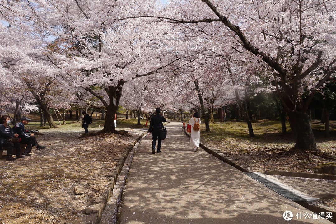 #剁主计划-广州#一个人的旅行：一个广东吃货的日本关西地区（大阪、京都、奈良）樱花季8日自由行（附关西地区行程规划路线和交通详细讲解攻略）