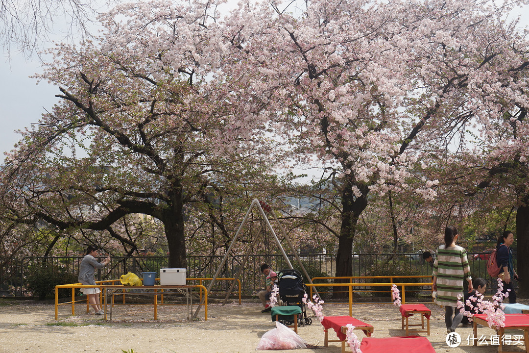 #剁主计划-广州#一个人的旅行：一个广东吃货的日本关西地区（大阪、京都、奈良）樱花季8日自由行（附关西地区行程规划路线和交通详细讲解攻略）