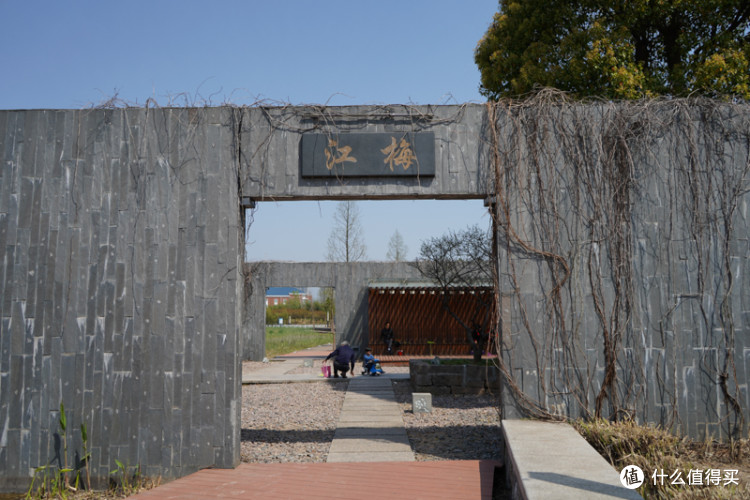 一个佳能党眼中的SONY 索尼 A7M3(ILCE-7M3