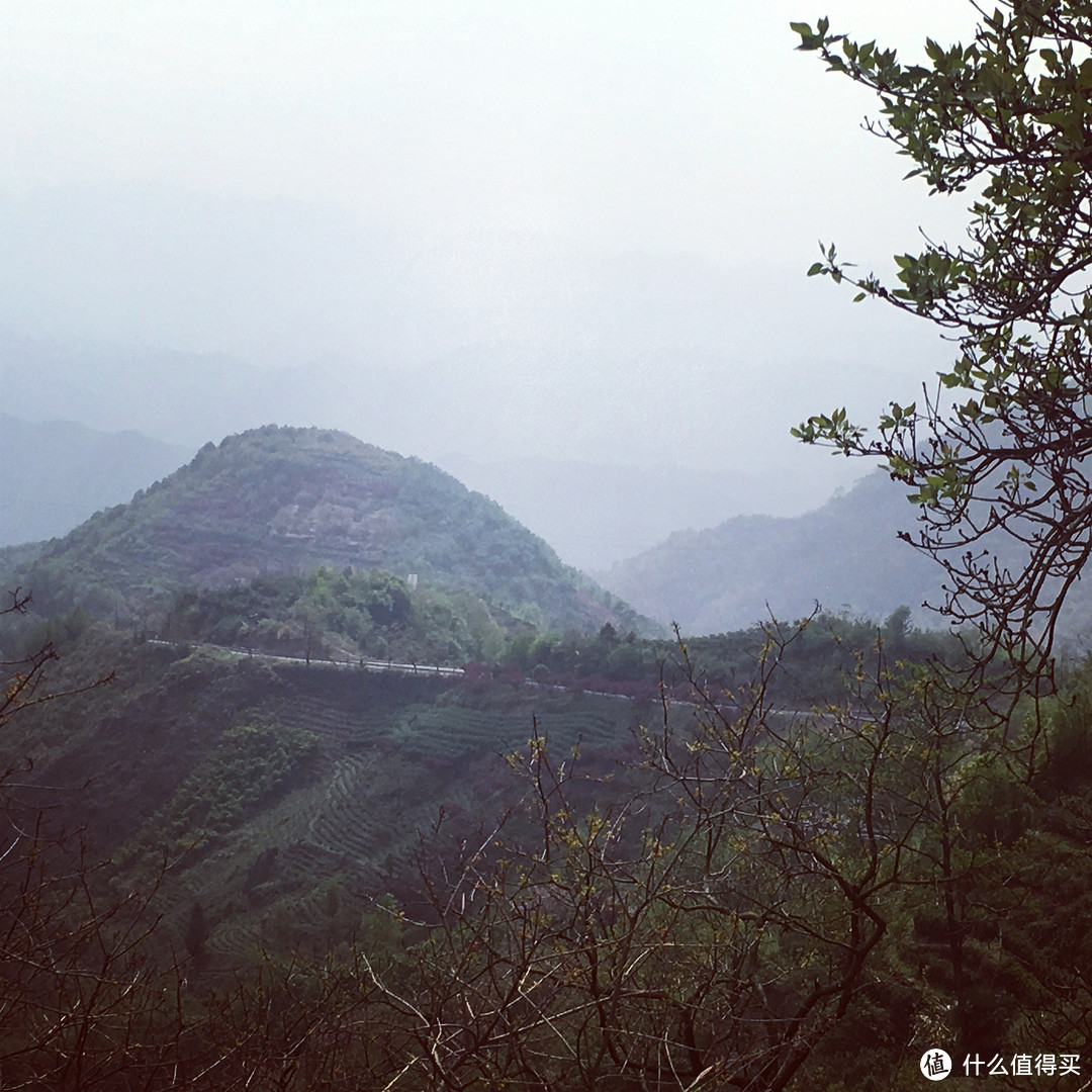 樱花落如雪：四明山七彩白鹿小环线骑游记