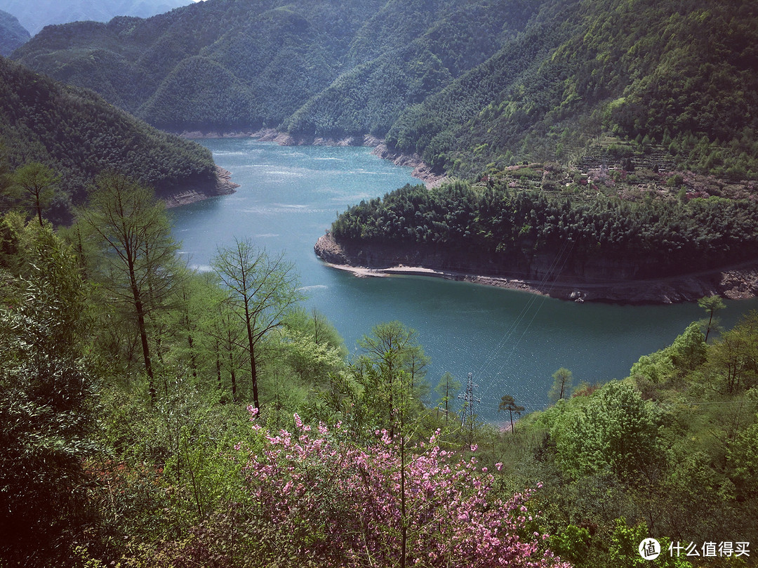 樱花落如雪：四明山七彩白鹿小环线骑游记