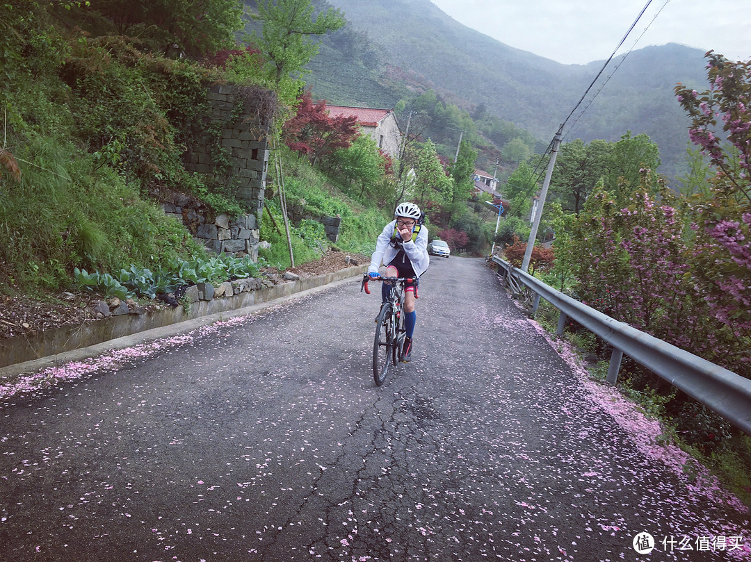 樱花落如雪：四明山七彩白鹿小环线骑游记