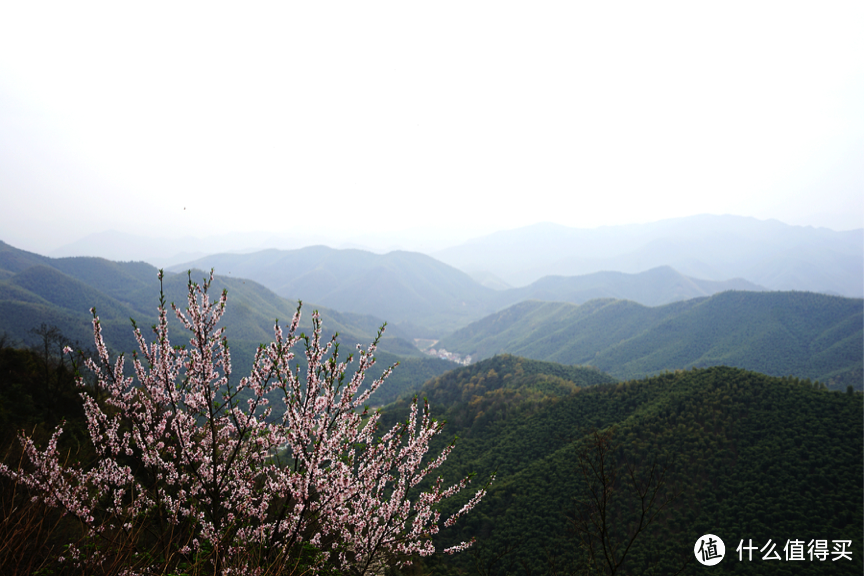 两天一夜 品美食赏美景：踏春德清