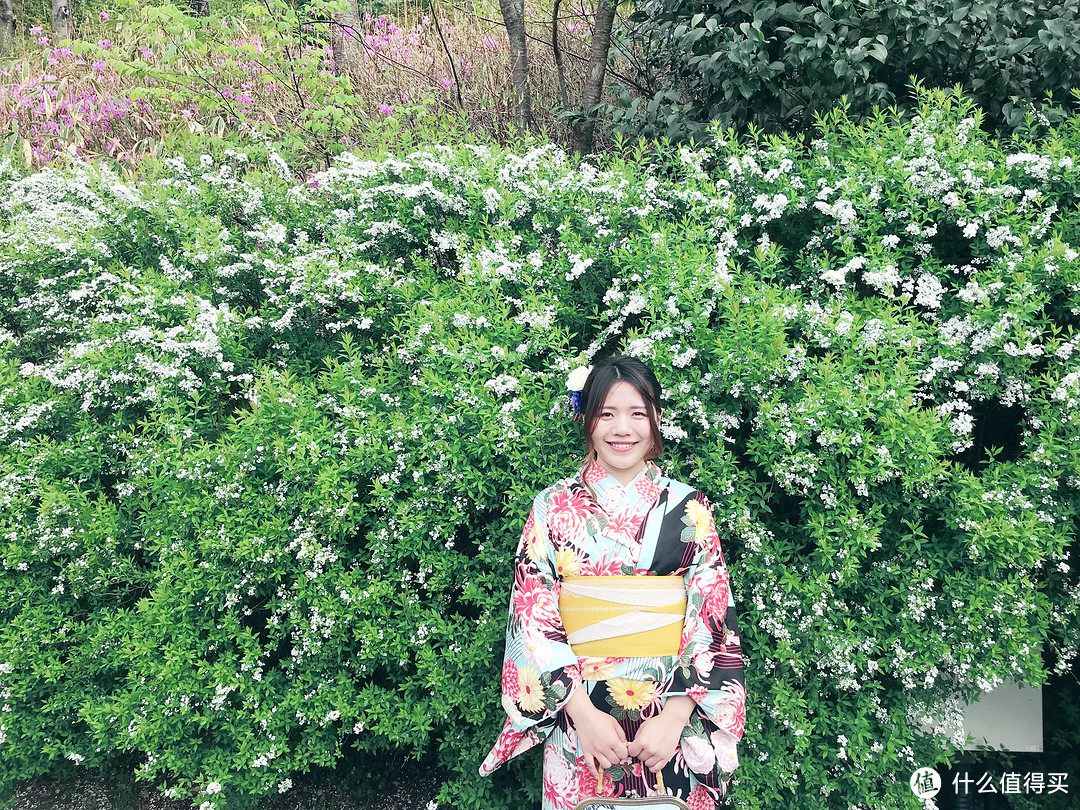 #剁主计划-上海#与剁友的姬情日本樱花佛系之旅