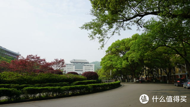 #剁主计划-宁波#宁波—长沙 益阳 天门山 凤凰 五天四晚 美食 美景 游记