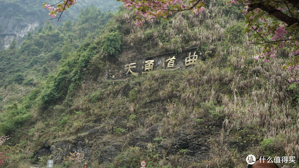 #剁主计划-宁波#宁波—长沙 益阳 天门山 凤凰 五天四晚 美食 美景 游记