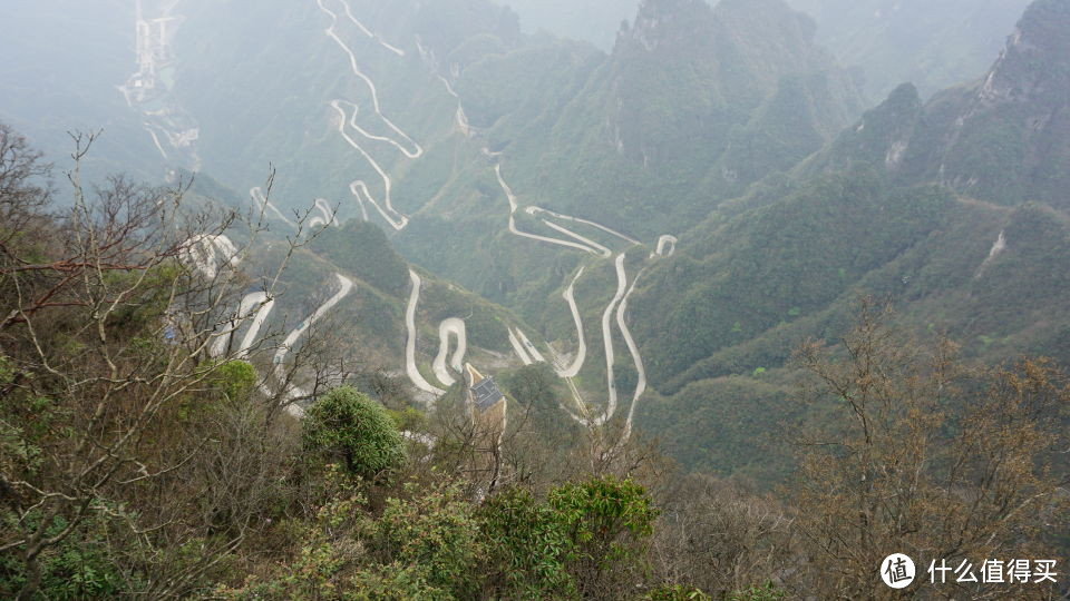 #剁主计划-宁波#宁波—长沙 益阳 天门山 凤凰 五天四晚 美食 美景 游记