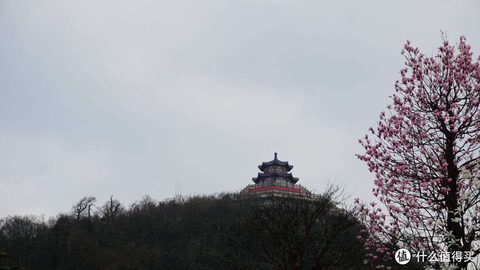 #剁主计划-宁波#宁波—长沙 益阳 天门山 凤凰 五天四晚 美食 美景 游记