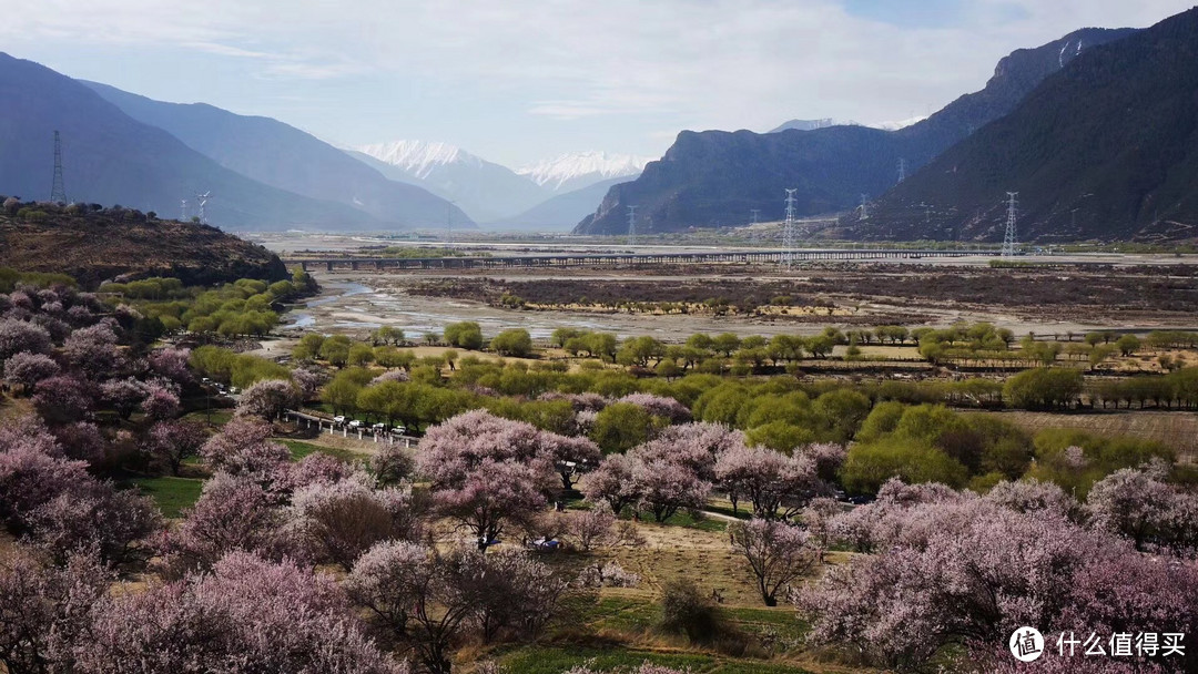 不为朝圣，只为美景！小女子西藏林芝赏花之旅（大量美图和经验）