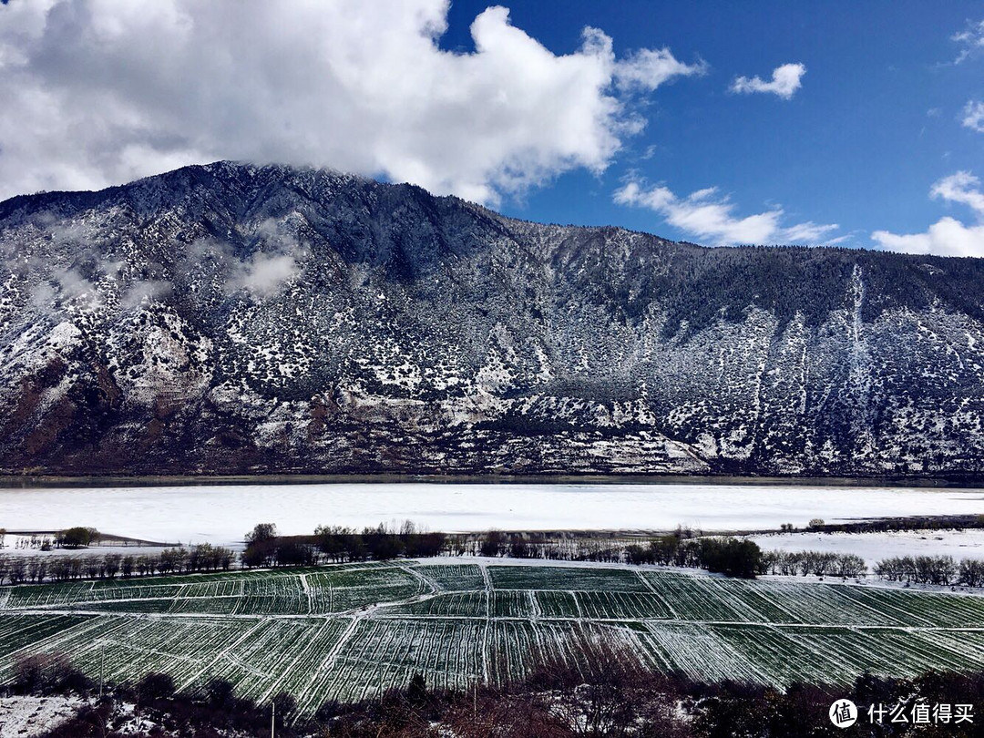 不为朝圣，只为美景！小女子西藏林芝赏花之旅（大量美图和经验）