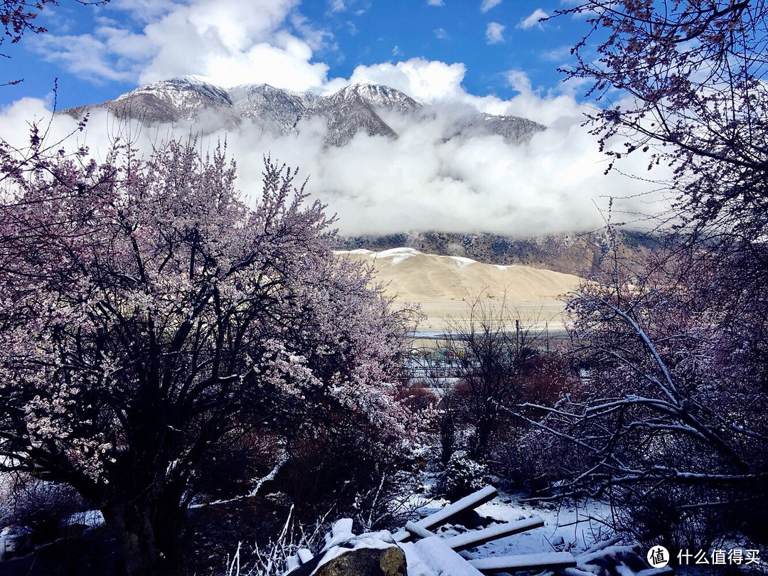 不为朝圣，只为美景！小女子西藏林芝赏花之旅（大量美图和经验）