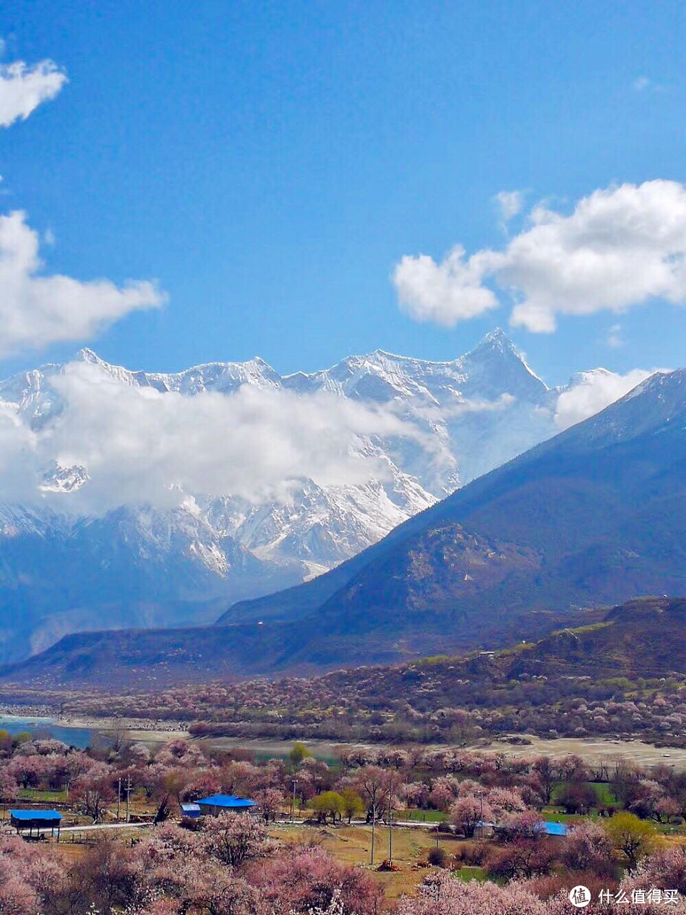 不为朝圣，只为美景！小女子西藏林芝赏花之旅（大量美图和经验）