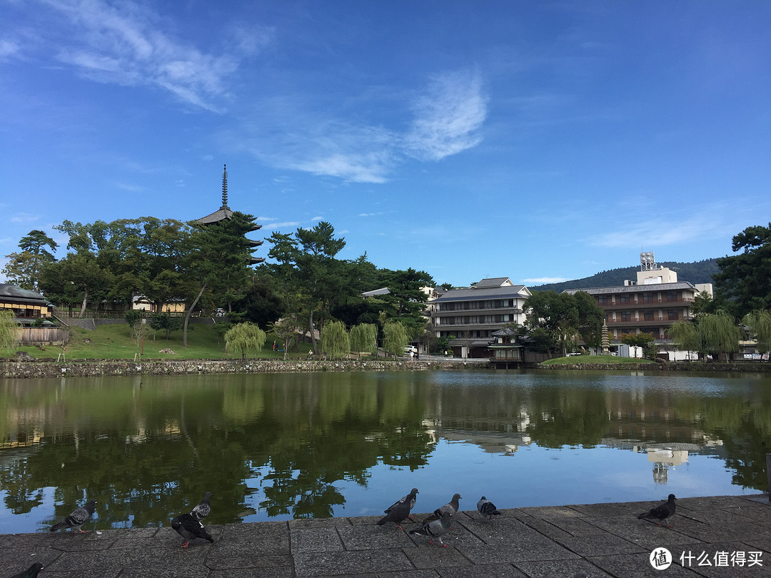 用月薪3000元游一次日本吧：大阪-奈良-京都-东京-广岛游记（附简化日本签证技巧）