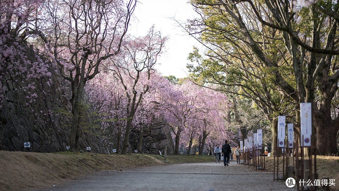 九州本州关西樱花温泉寺庙之旅