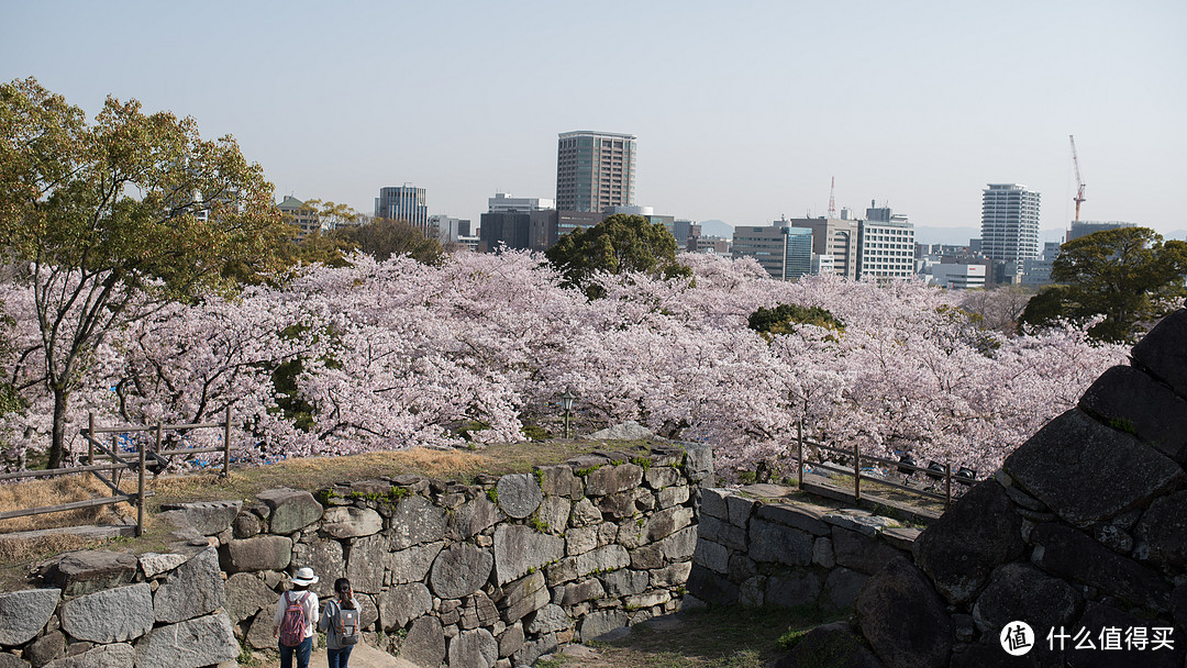 九州本州关西樱花温泉寺庙之旅