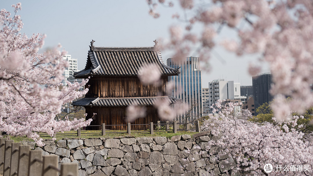 九州本州关西樱花温泉寺庙之旅