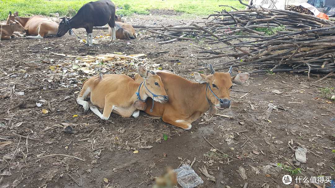 上海到Gili Trawangan