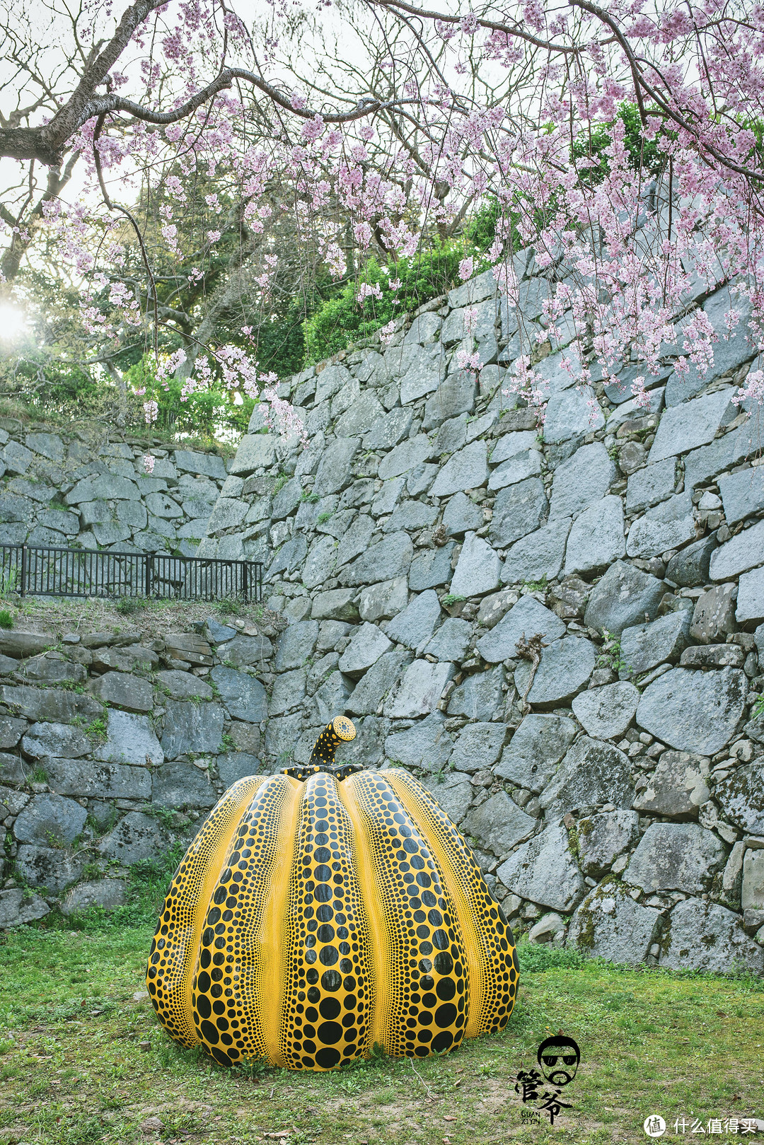 九州本州关西樱花温泉寺庙之旅