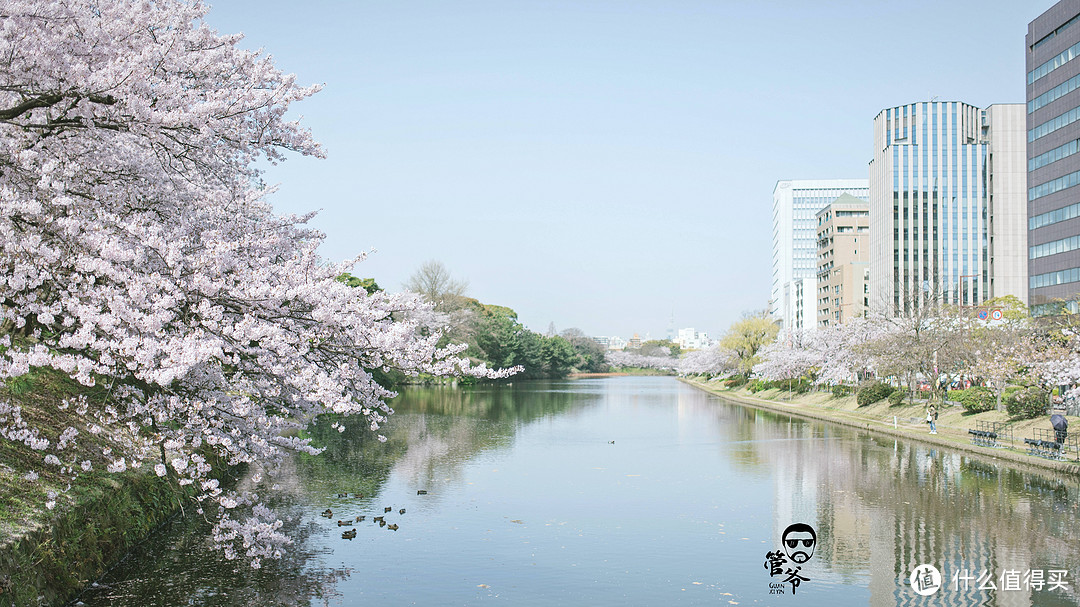 九州本州关西樱花温泉寺庙之旅