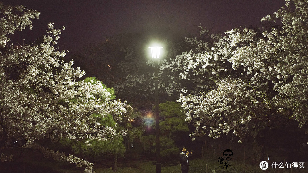 九州本州关西樱花温泉寺庙之旅