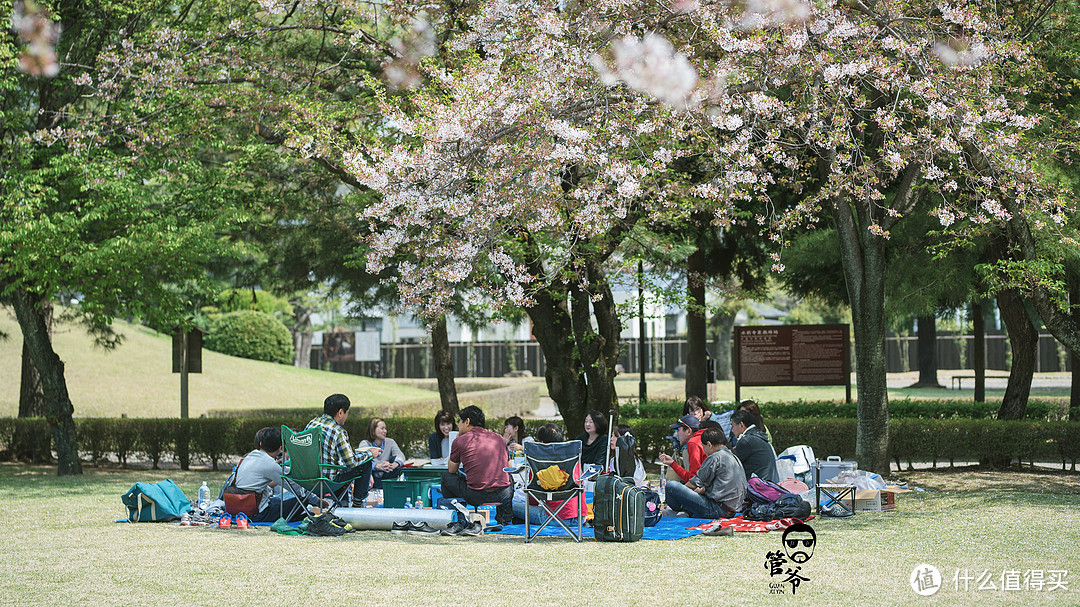 九州本州关西樱花温泉寺庙之旅