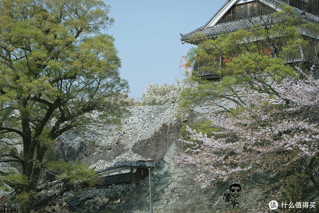 九州本州关西樱花温泉寺庙之旅