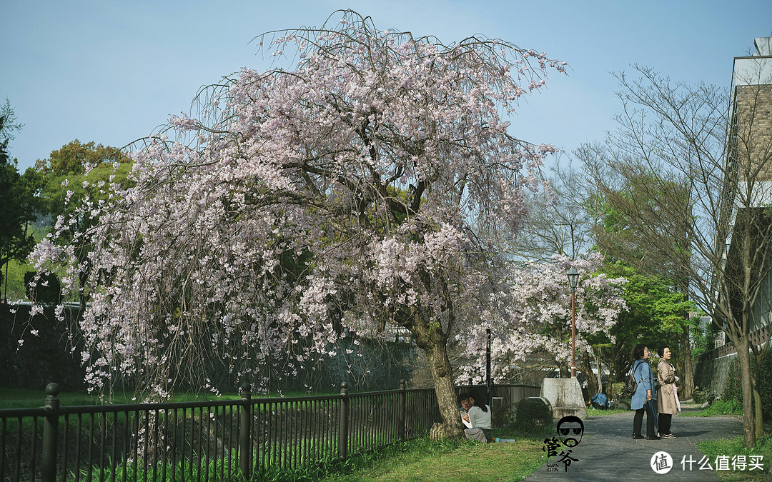 九州本州关西樱花温泉寺庙之旅