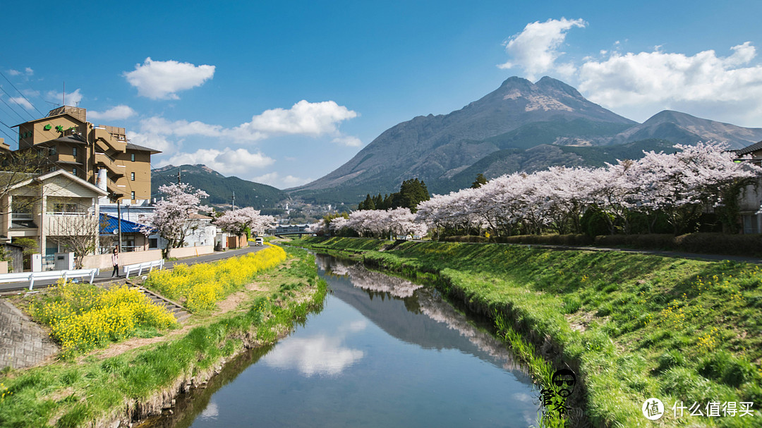 九州本州关西樱花温泉寺庙之旅