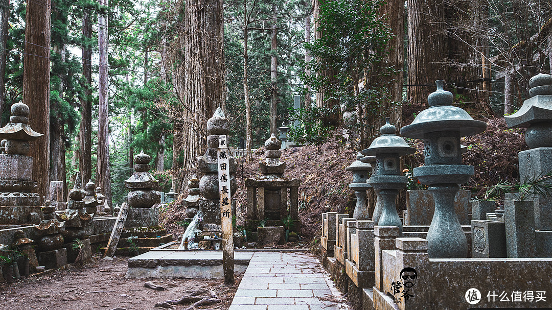 九州本州关西樱花温泉寺庙之旅