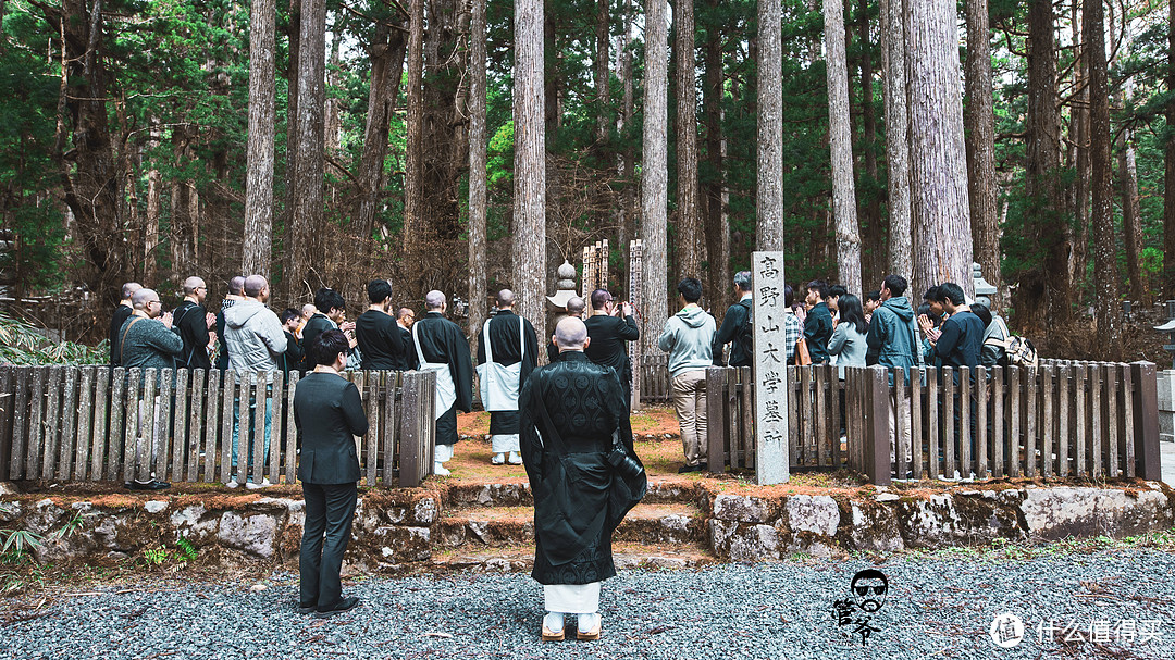 九州本州关西樱花温泉寺庙之旅