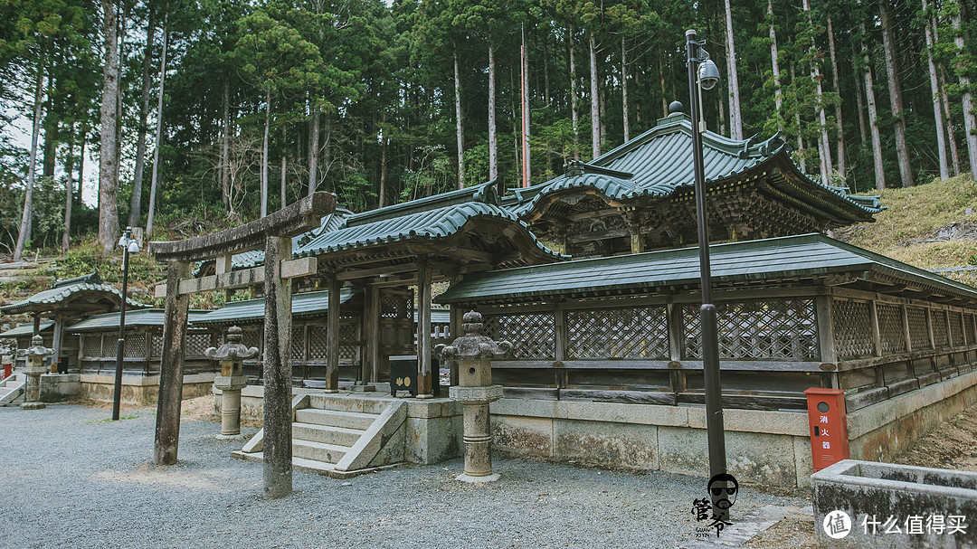 九州本州关西樱花温泉寺庙之旅