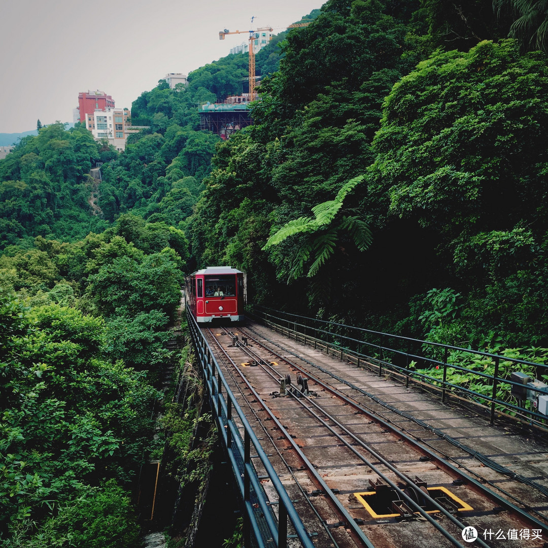 穿越水泥森林上太平山