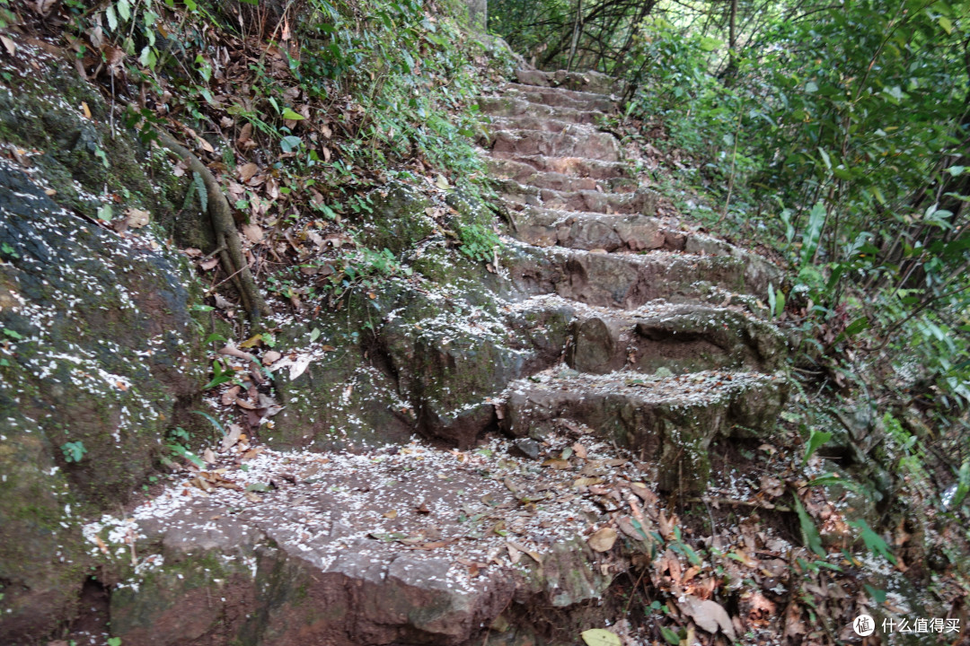 桂林山水甲天下,阳朔山水甲桂林:桂林小游记