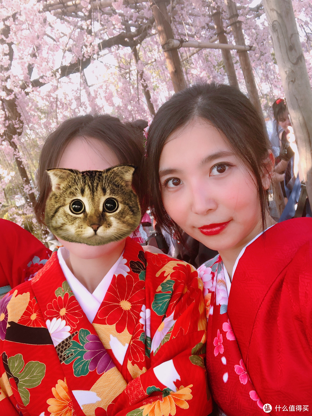 去了次日本,带回了这些美妆好物—日本什么值得买