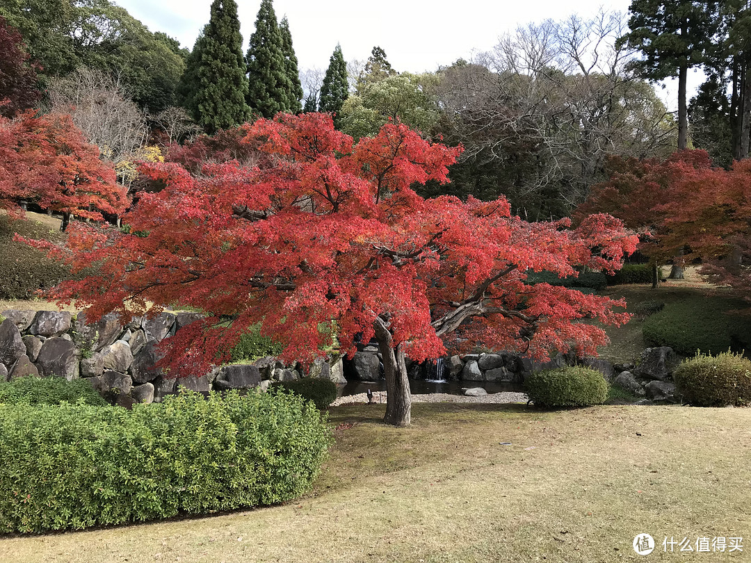 五一假期太短？十一假期去日本吧！红叶季游大阪、奈良、京都攻略收好！