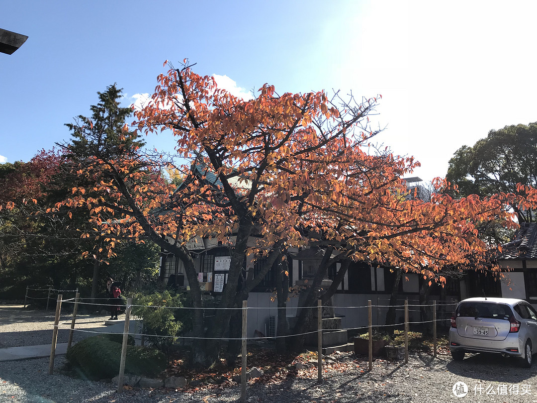 五一假期太短？十一假期去日本吧！红叶季游大阪、奈良、京都攻略收好！