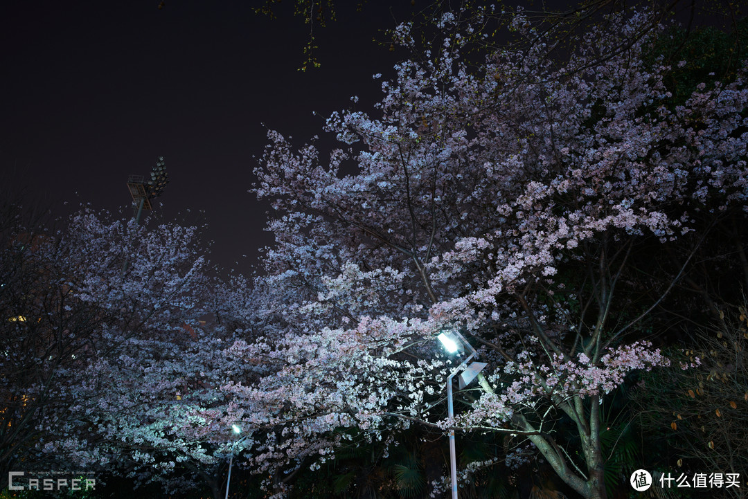 Zeiss 蔡司 loxia25mm f2.4 镜头 使用分享