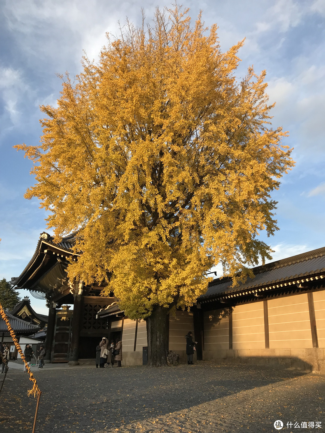 五一假期太短？十一假期去日本吧！红叶季游大阪、奈良、京都攻略收好！