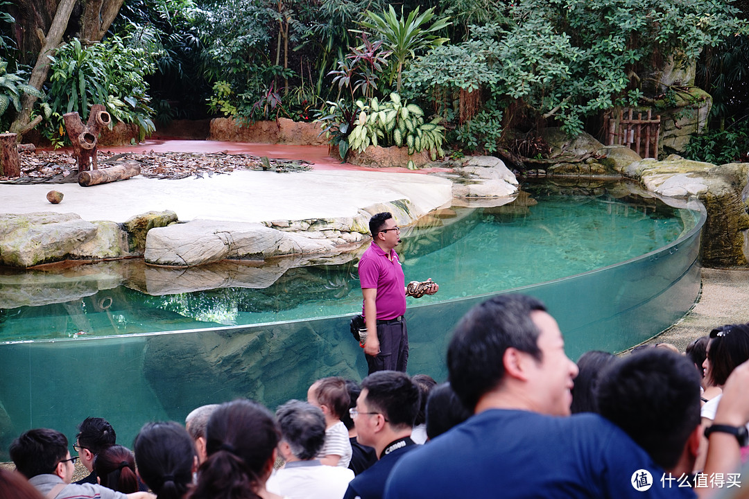 暴走狮城—新加坡六日旅行笔记