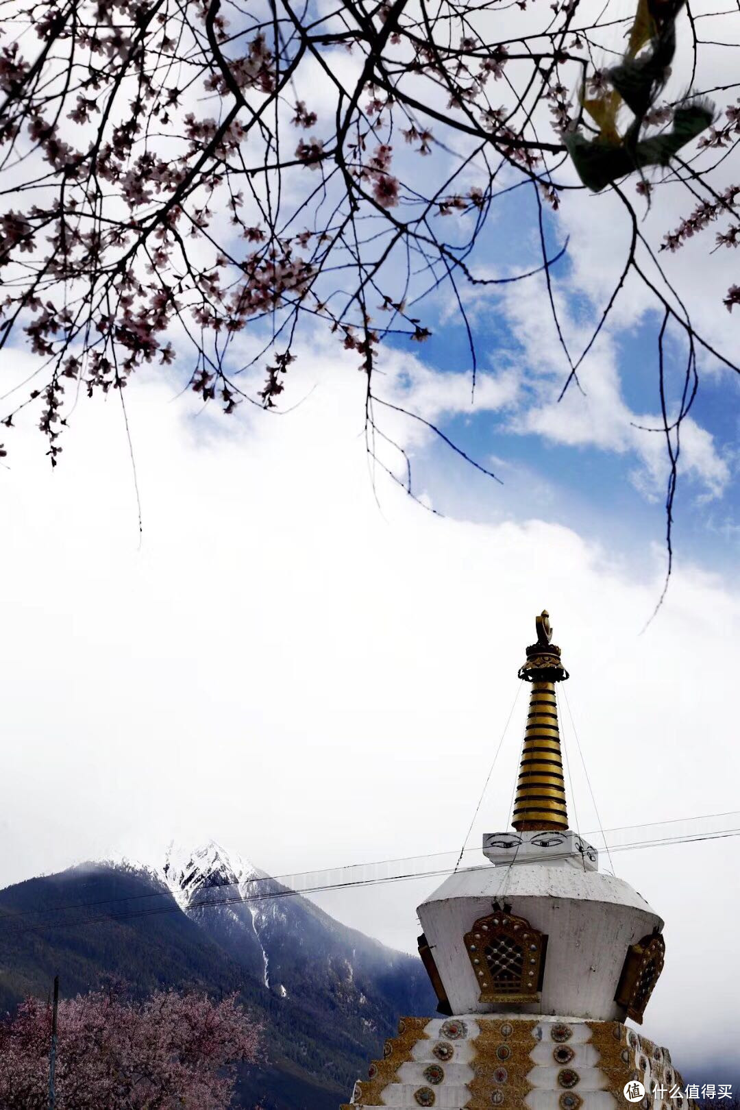 不为朝圣，只为美景！小女子西藏林芝赏花之旅（大量美图和经验）