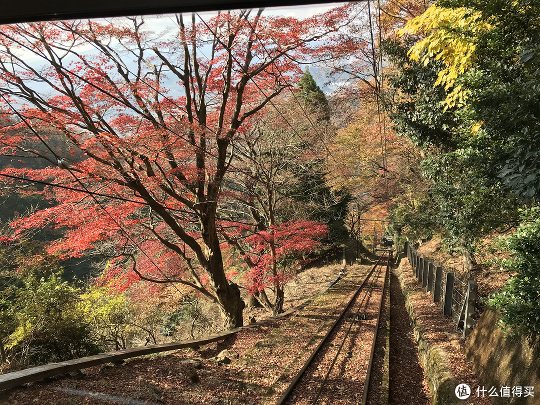 五一假期太短？十一假期去日本吧！红叶季游大阪、奈良、京都攻略收好！