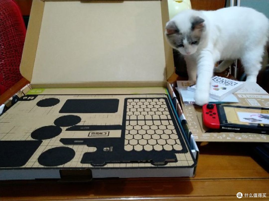 猫主子与labo
