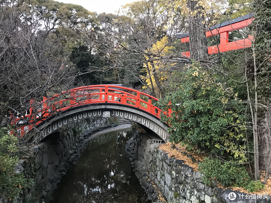 五一假期太短？十一假期去日本吧！红叶季游大阪、奈良、京都攻略收好！