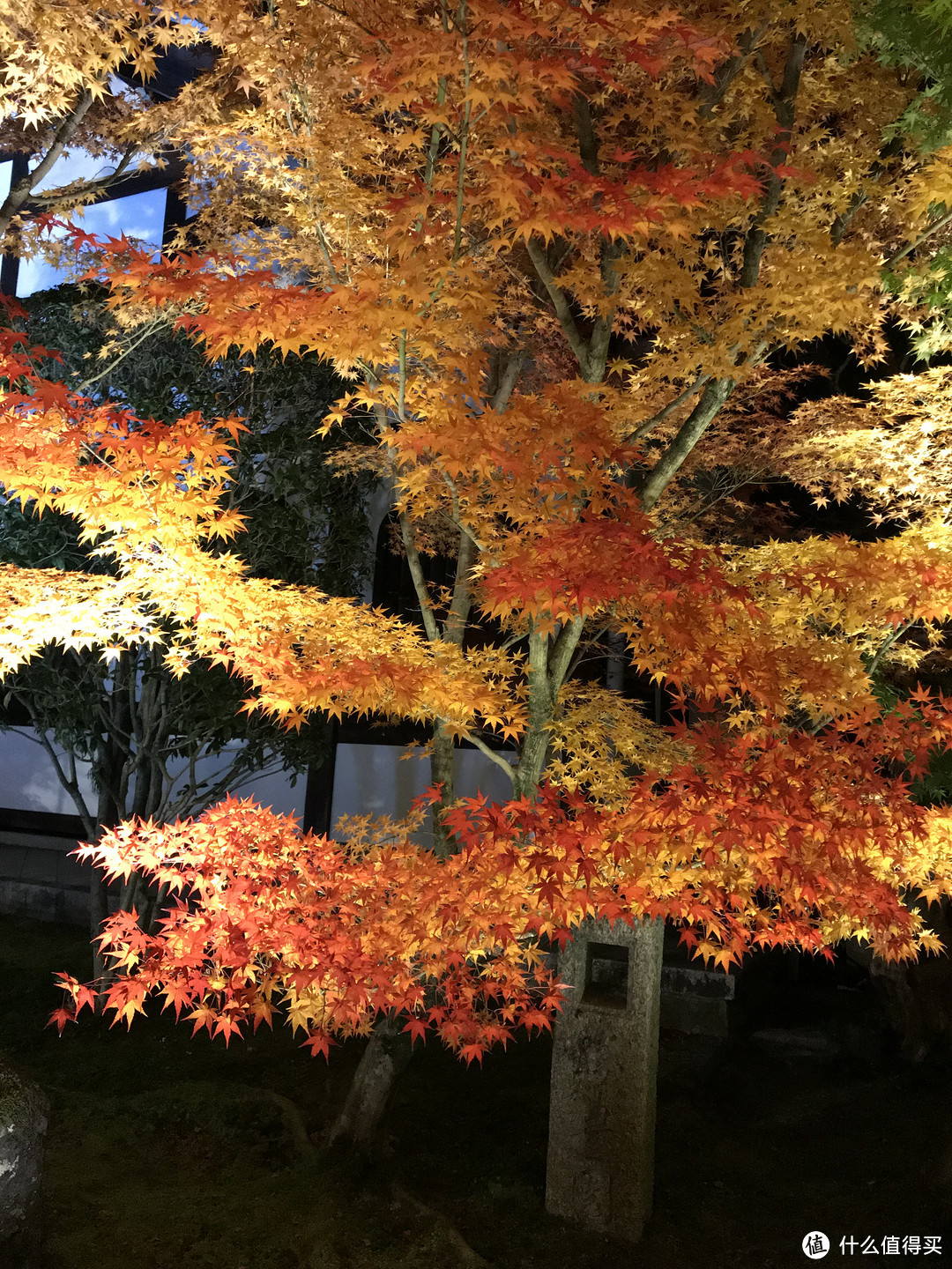 五一假期太短？十一假期去日本吧！红叶季游大阪、奈良、京都攻略收好！