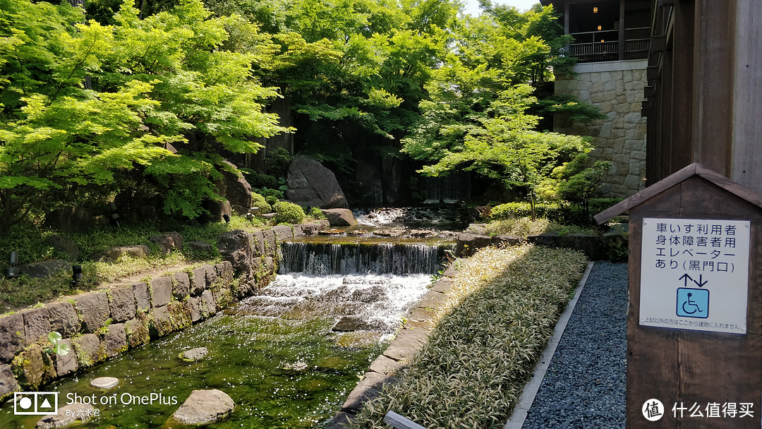 四月名古屋佛系旅行记