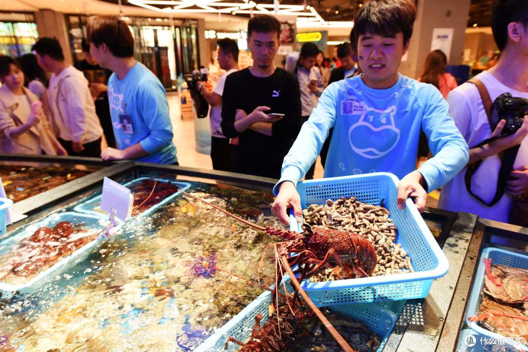河马先生终于来到大长安—盒马鲜生西安太白印象城店体验