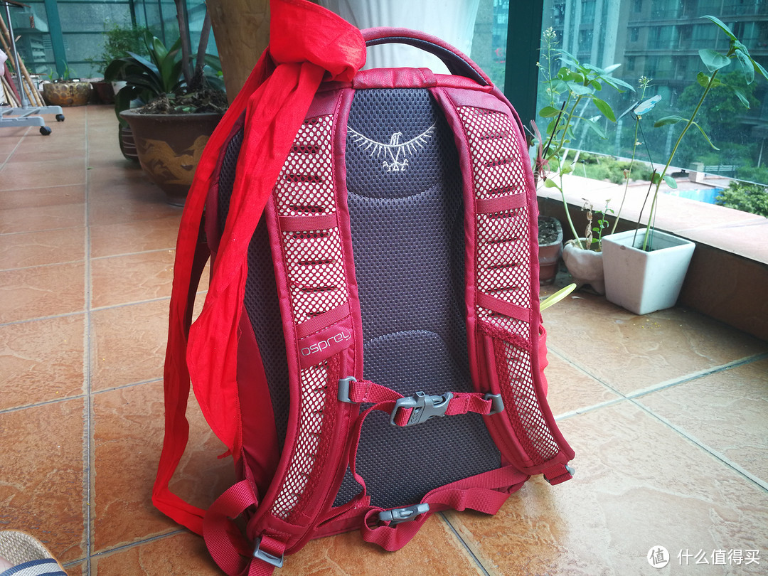 入学书包推荐 OSPREY F16 弹簧 Pogo 儿童双肩背包 24L