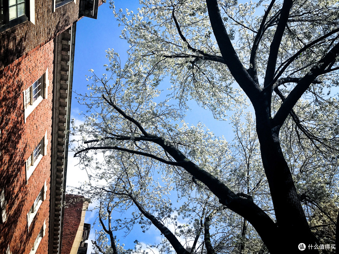 天堂与地狱交织的梦想都市—纽约到底什么值得玩